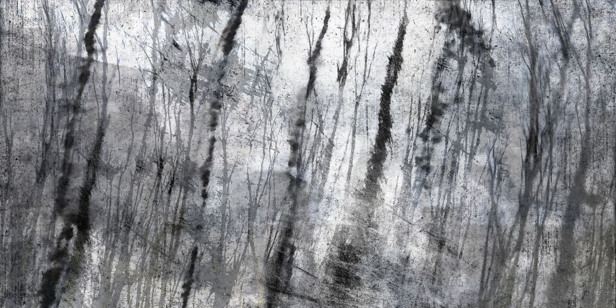 Racines, friches, arbres, forêts - photo 36